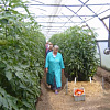 zgvt qfgtvbyiilaroigl 03.08.2010_preview.jpg